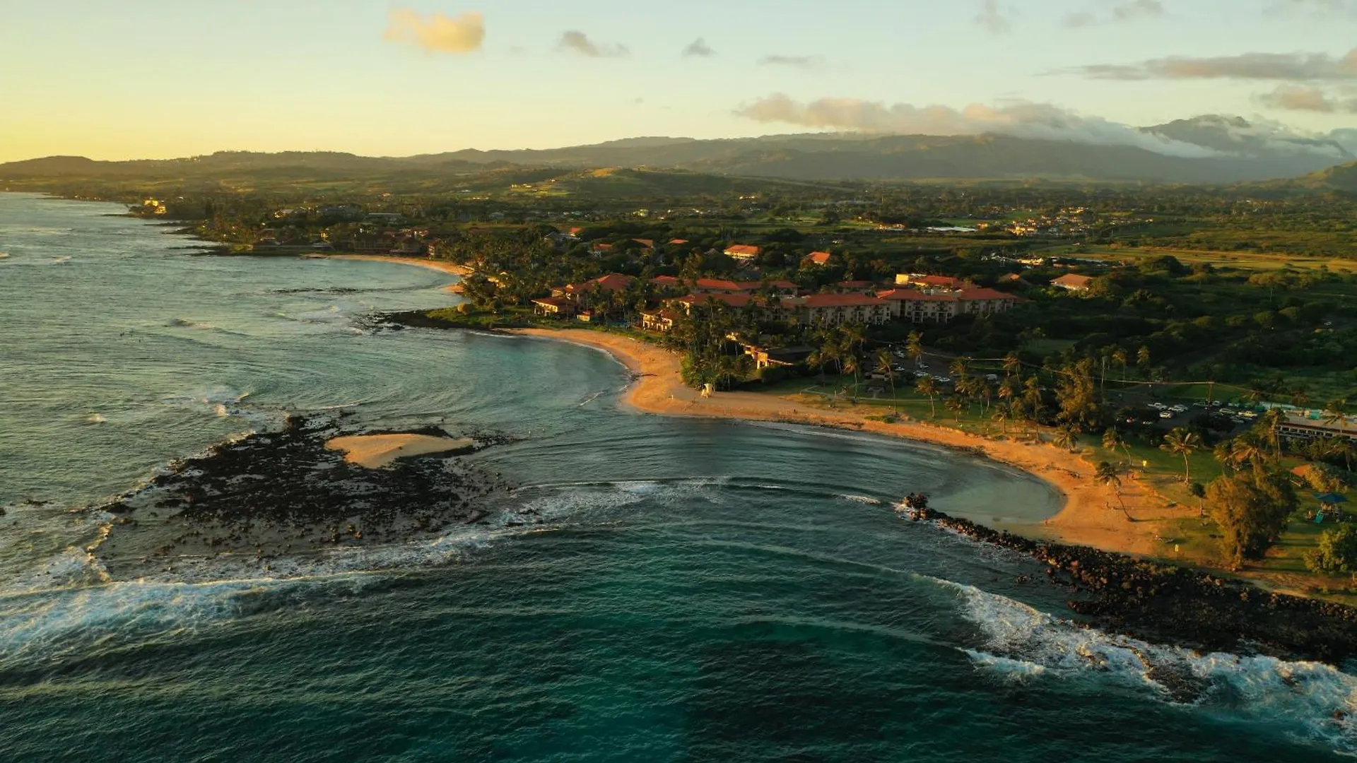 Apartment Kuhio Shores 319: Oceanfront In Poipu With A/C! Koloa