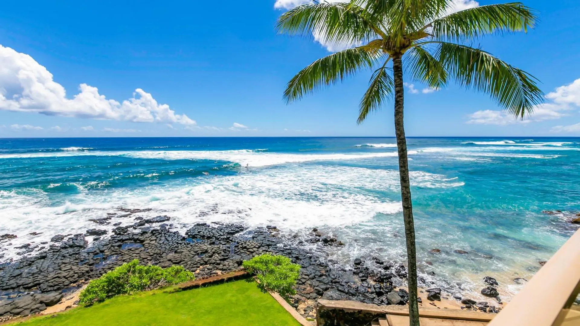 Kuhio Shores 319: Oceanfront In Poipu With A/C! Koloa Apartment